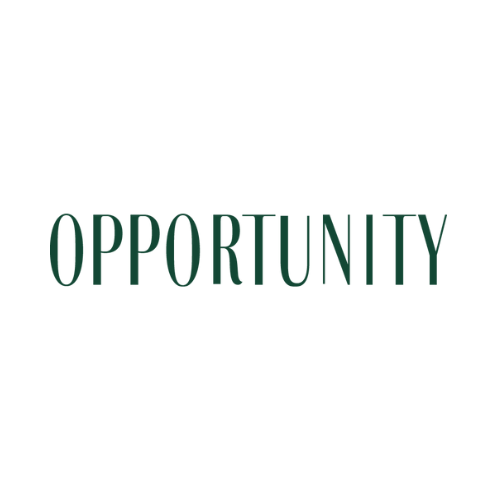OPPORTUNITY MARKET